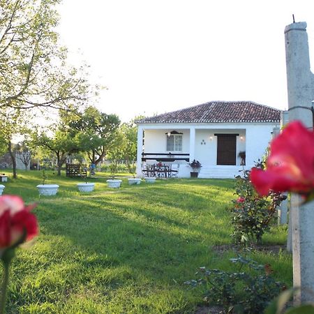 "Per Mik" Cottage In Vineyard Shkodër Exterior foto