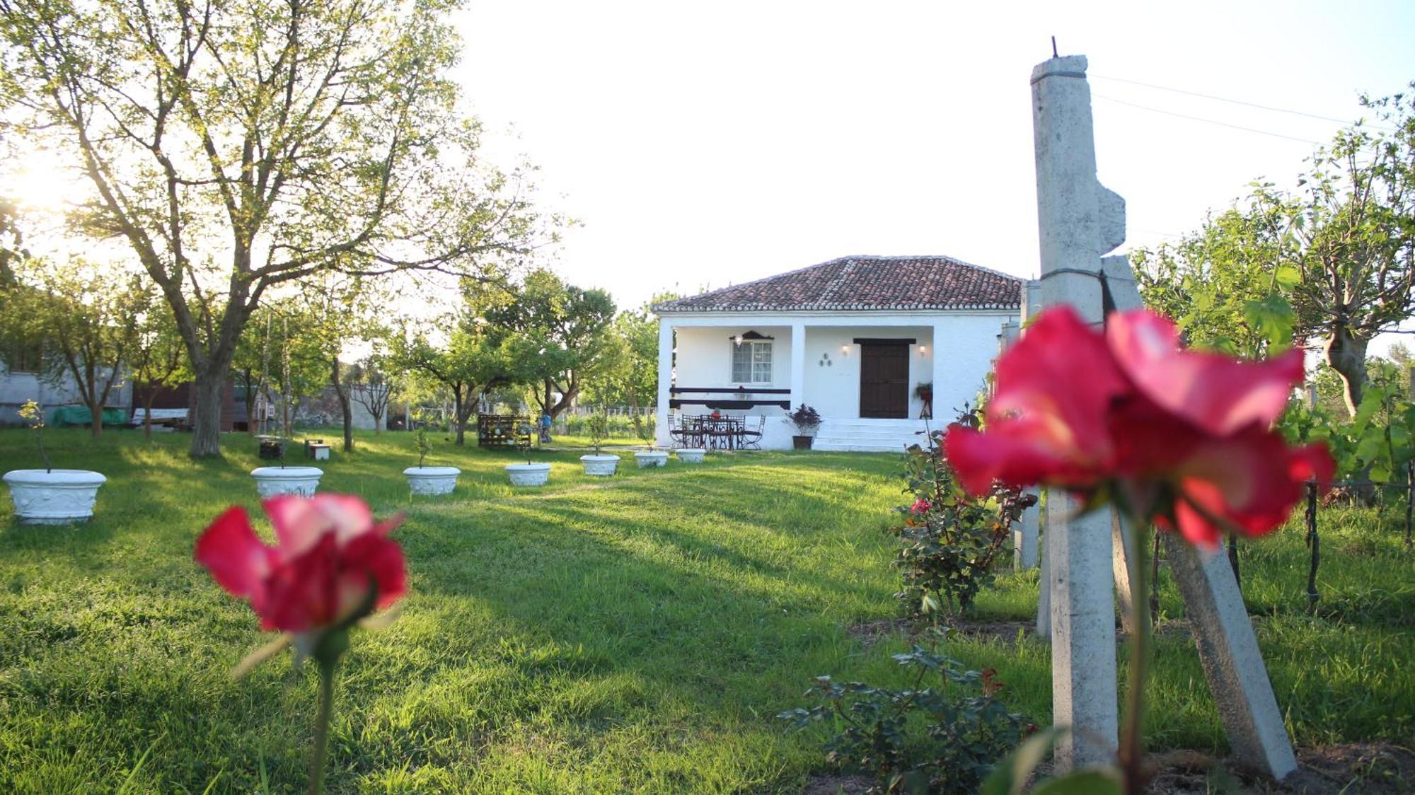 "Per Mik" Cottage In Vineyard Shkodër Exterior foto