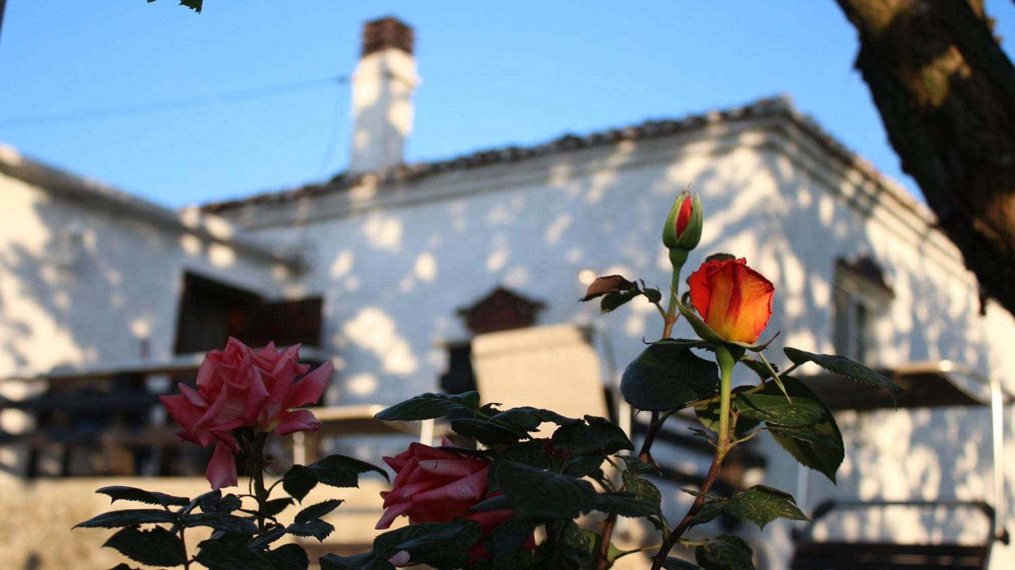 "Per Mik" Cottage In Vineyard Shkodër Exterior foto