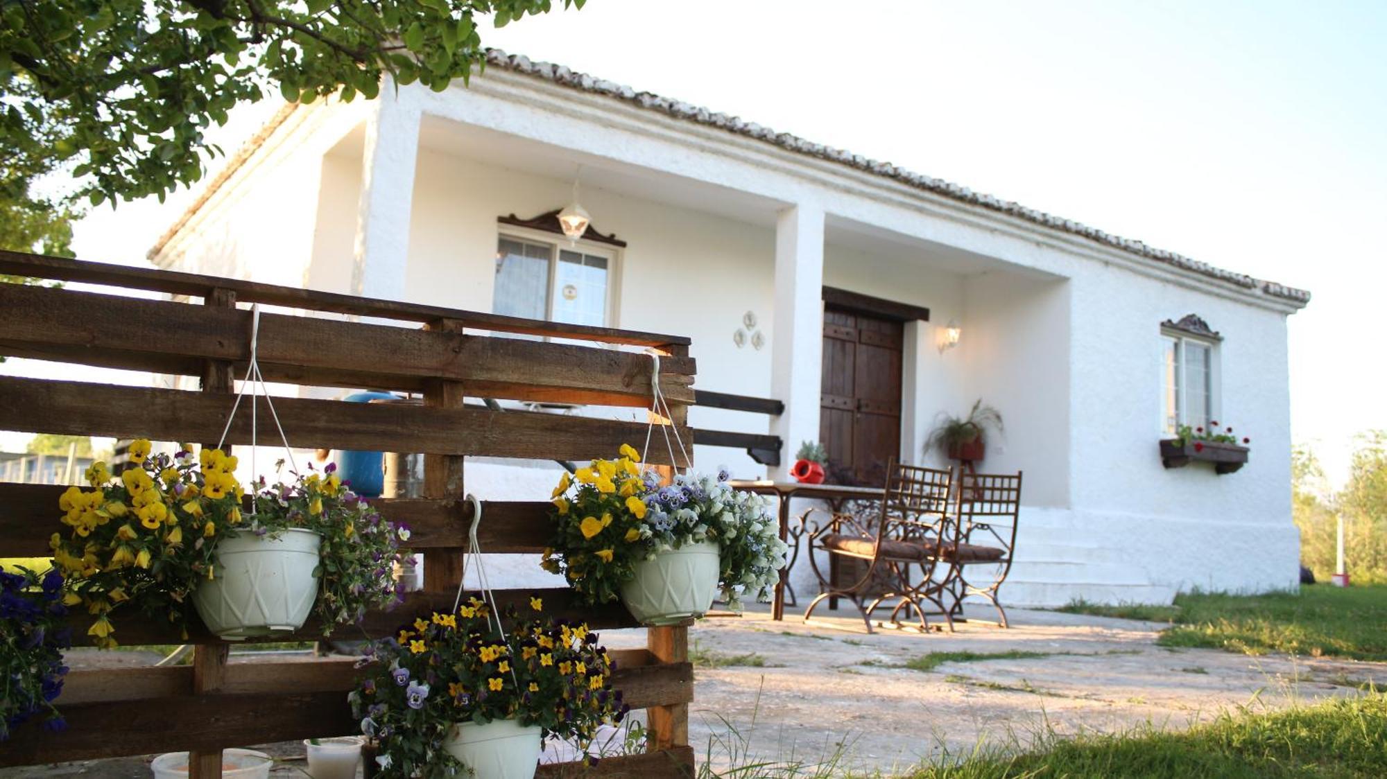 "Per Mik" Cottage In Vineyard Shkodër Exterior foto