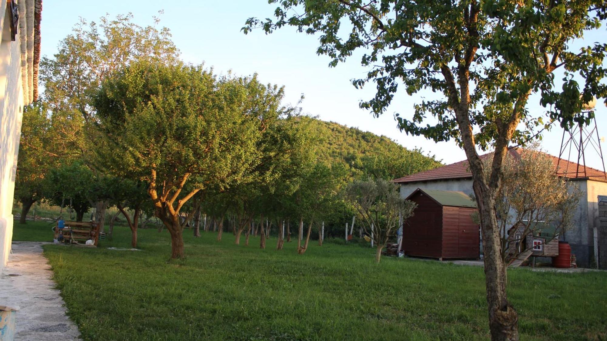 "Per Mik" Cottage In Vineyard Shkodër Exterior foto